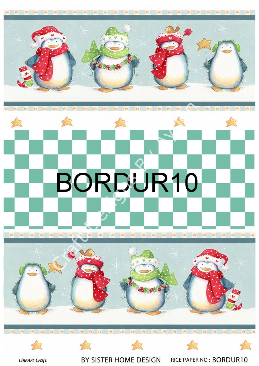 BORDUR 10