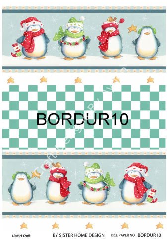 BORDUR 10