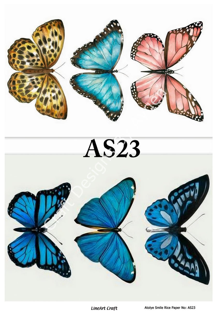 AS 23
