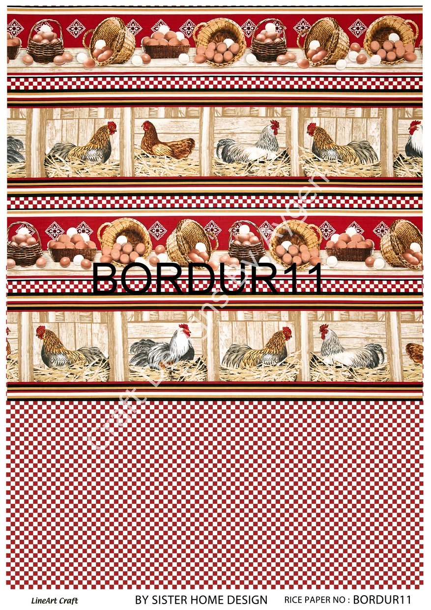 BORDUR 11