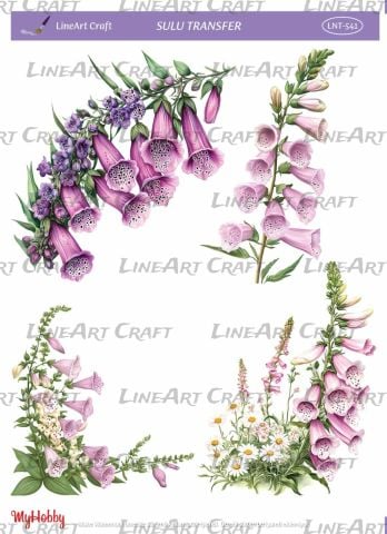 Lineart SULU TRANSFER LNT 541