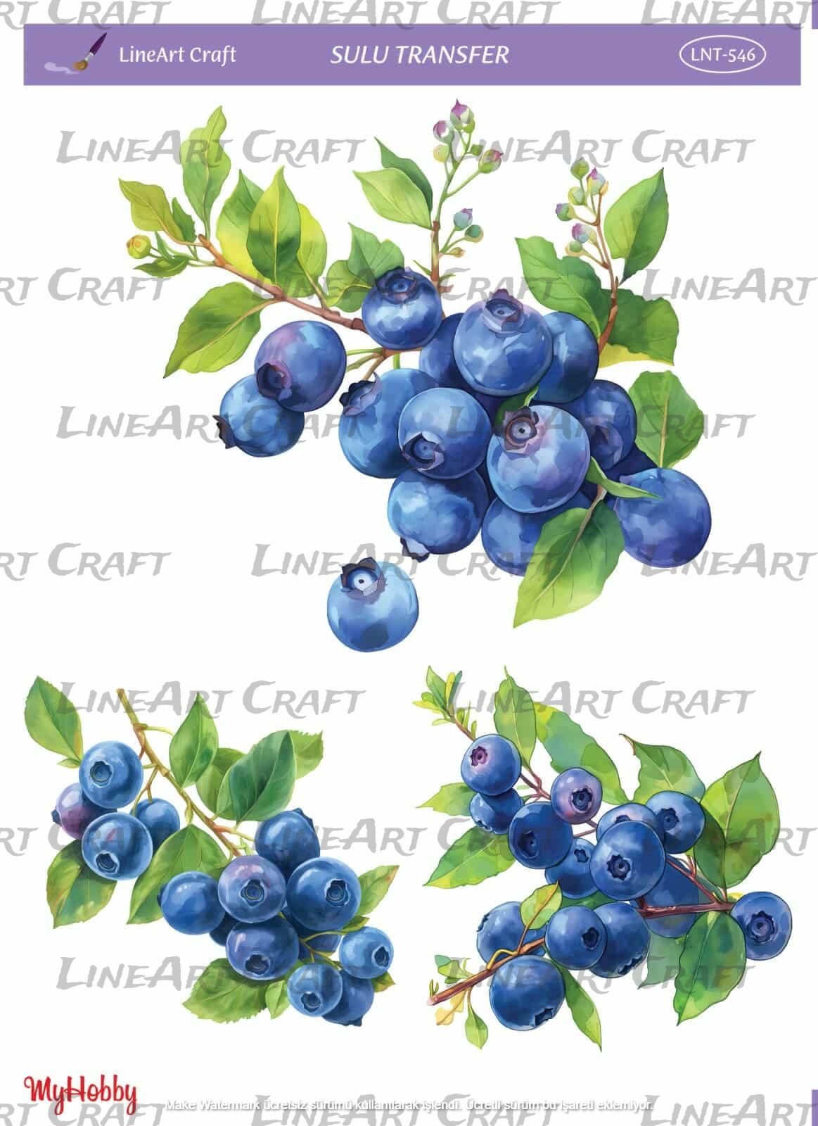 Lineart SULU TRANSFER LNT 546