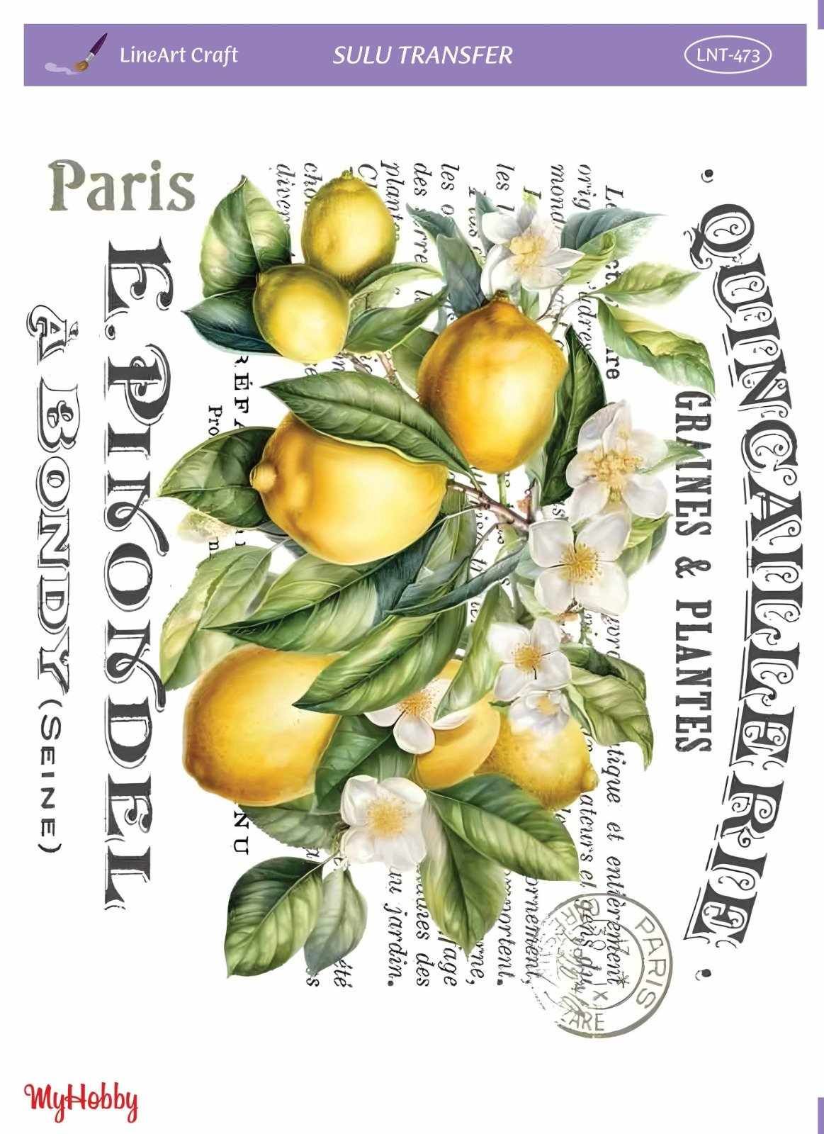Lineart SULU TRANSFER LNT 473