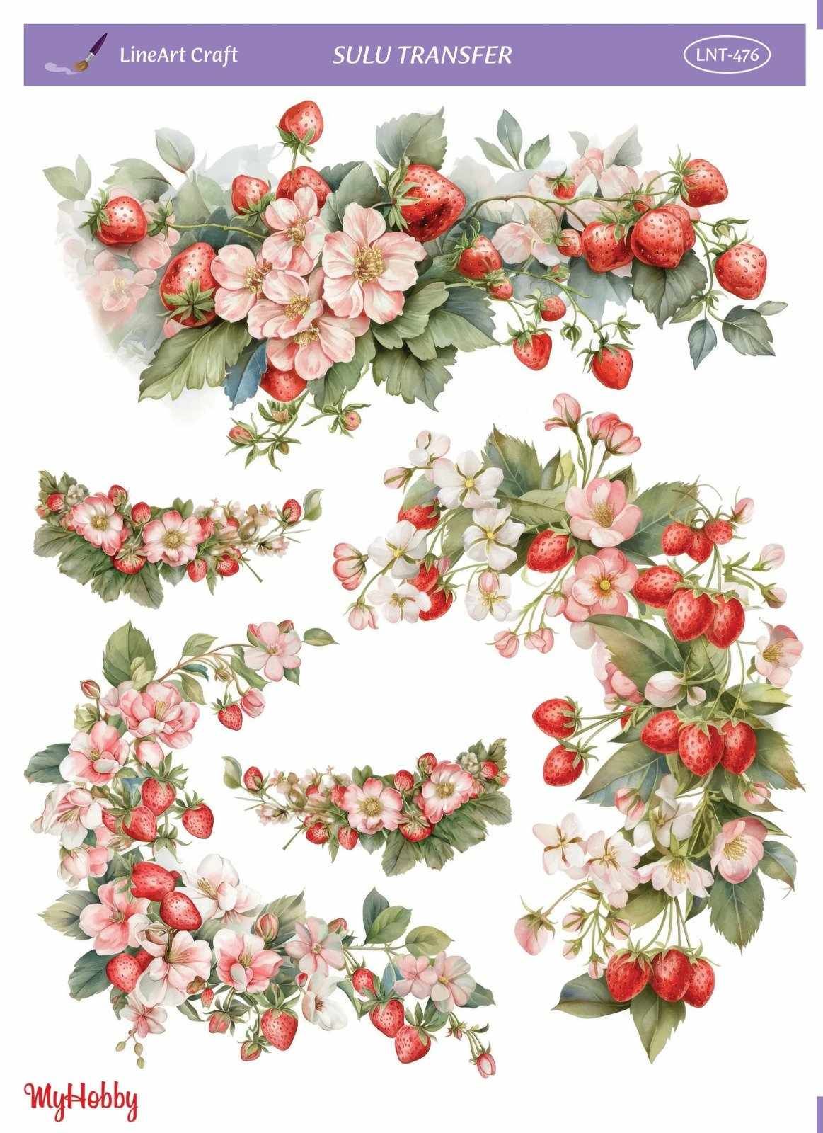 Lineart SULU TRANSFER LNT 476