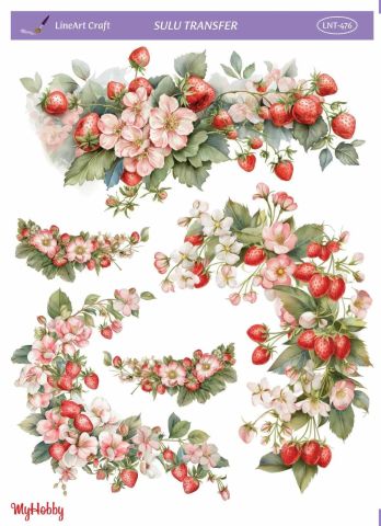 Lineart SULU TRANSFER LNT 476