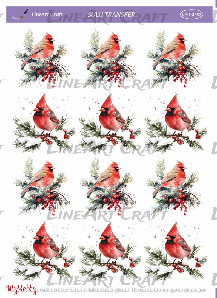 Lineart SULU TRANSFER LNT 2357