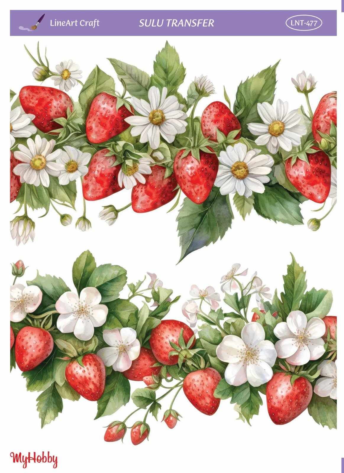 Lineart SULU TRANSFER LNT 477