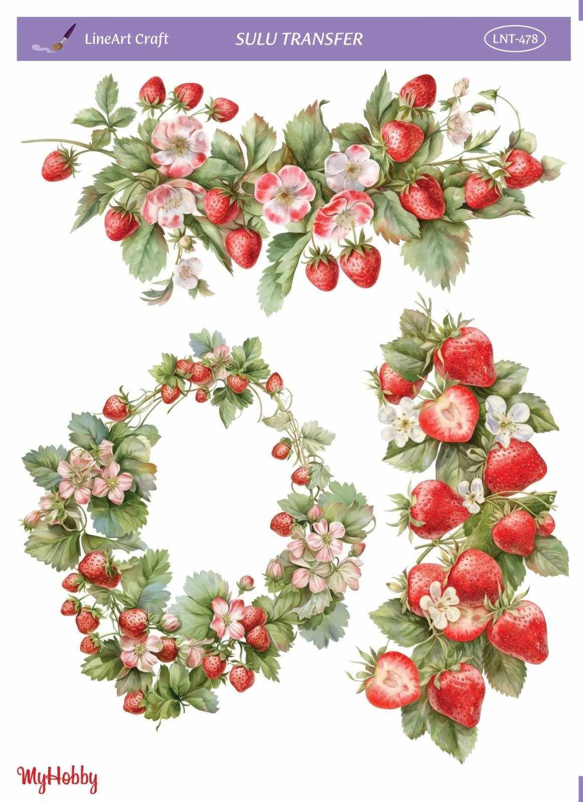 Lineart SULU TRANSFER LNT 478