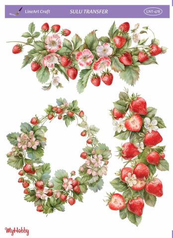 Lineart SULU TRANSFER LNT 478