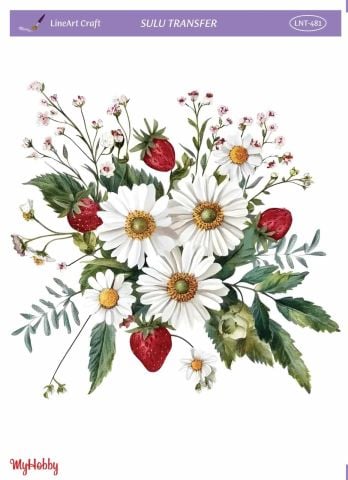 Lineart SULU TRANSFER LNT 481
