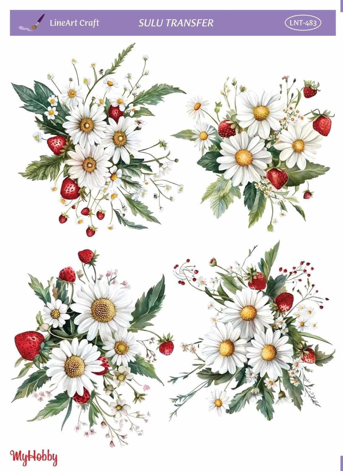 Lineart SULU TRANSFER LNT 483