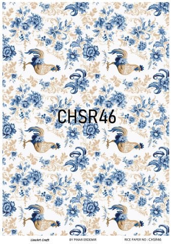 CHSR 46