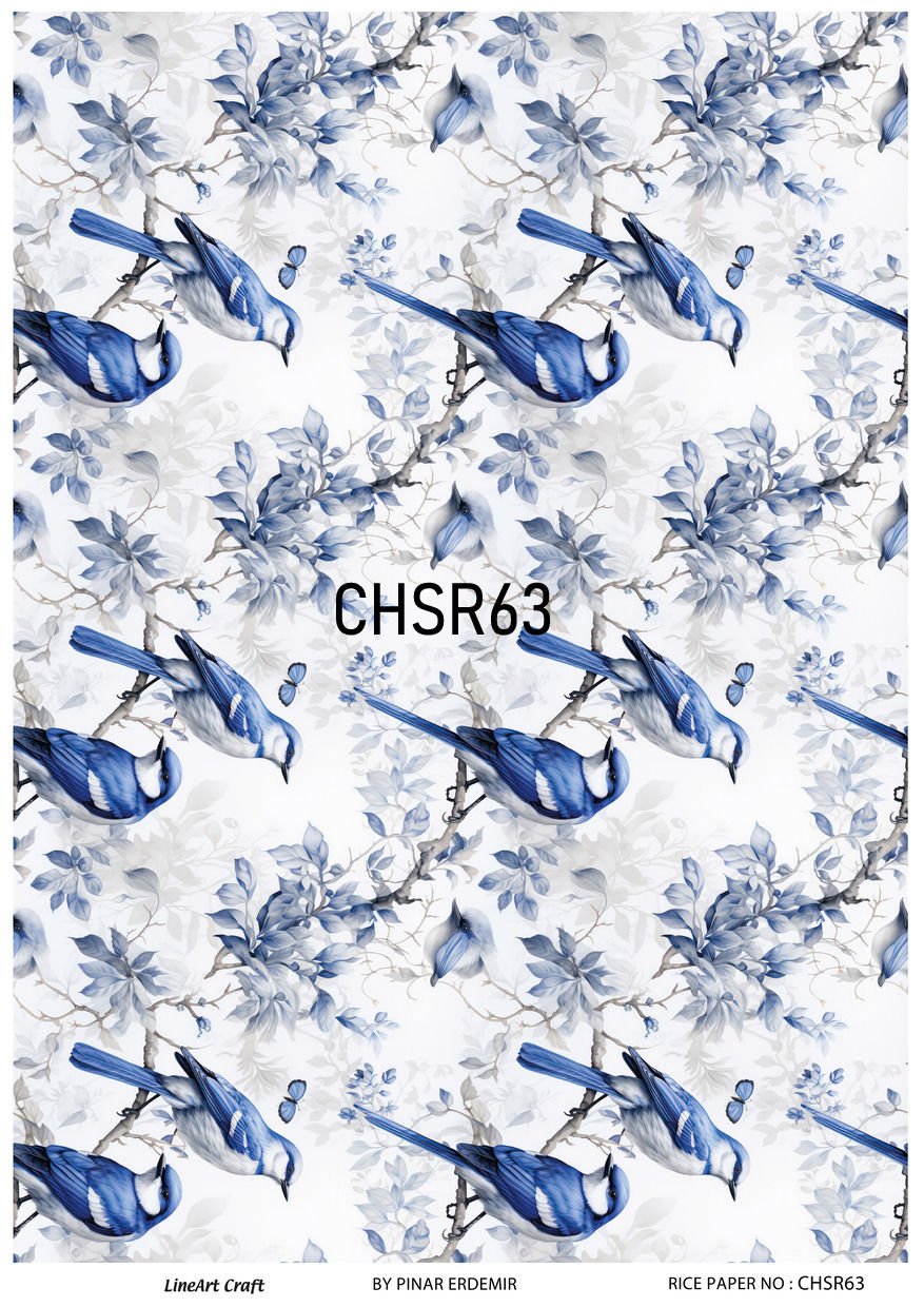CHSR 63