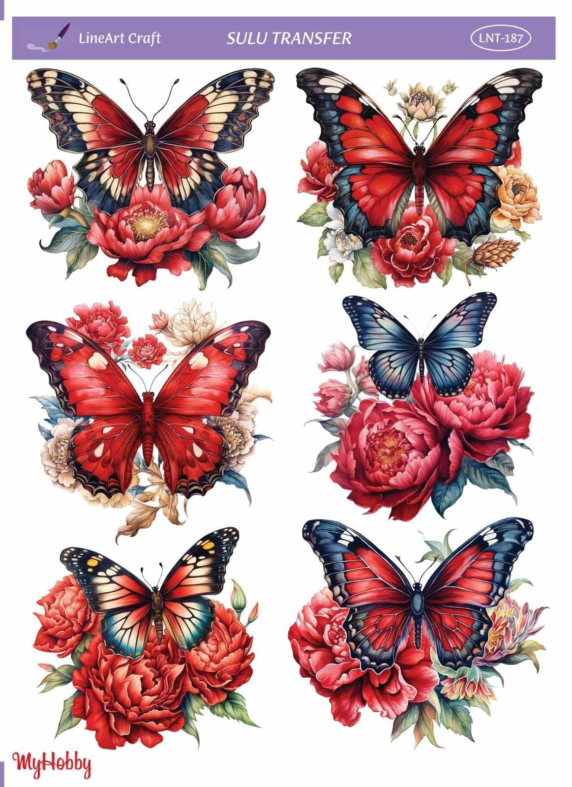 Lineart SULU TRANSFER LNT 187