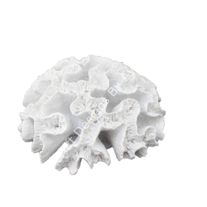 Boyanabilir Polyester Ham Objeler -TOPARLAK BÜYÜK MERCAN 20X11 CM