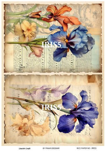 IRIS  5