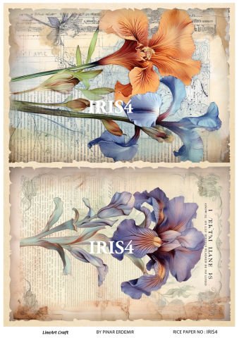 PİRİNÇ DEKOPAJ IRIS 4