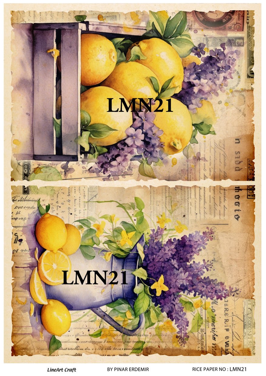 LMN 21
