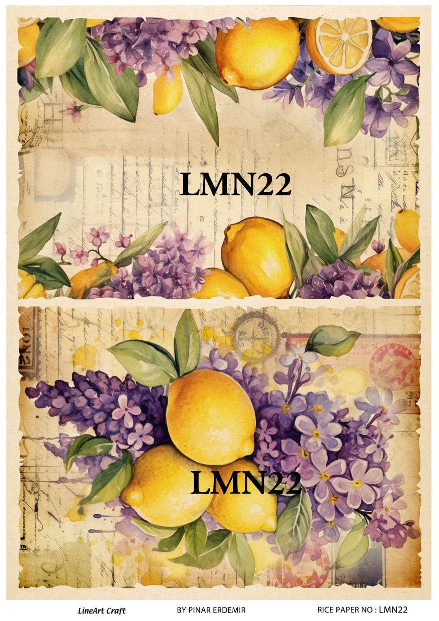 LMN 22