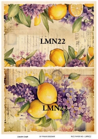 LMN 22