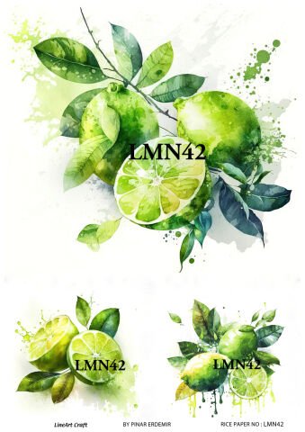 LMN 42