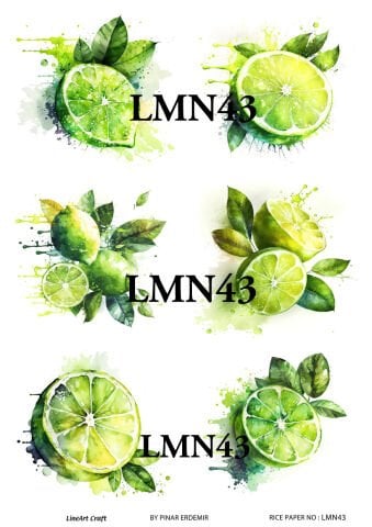 LMN 43