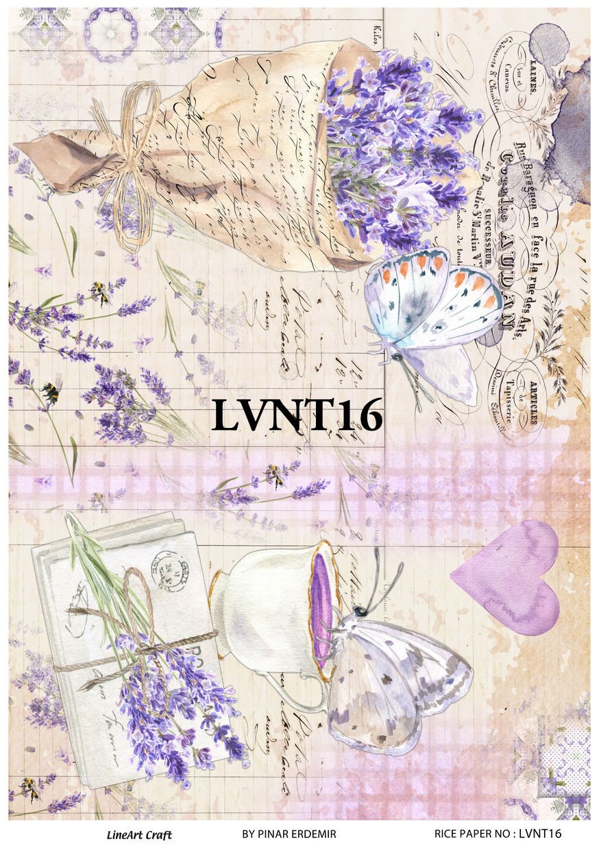 LVNT 16