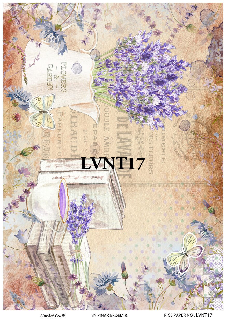 LVNT 17