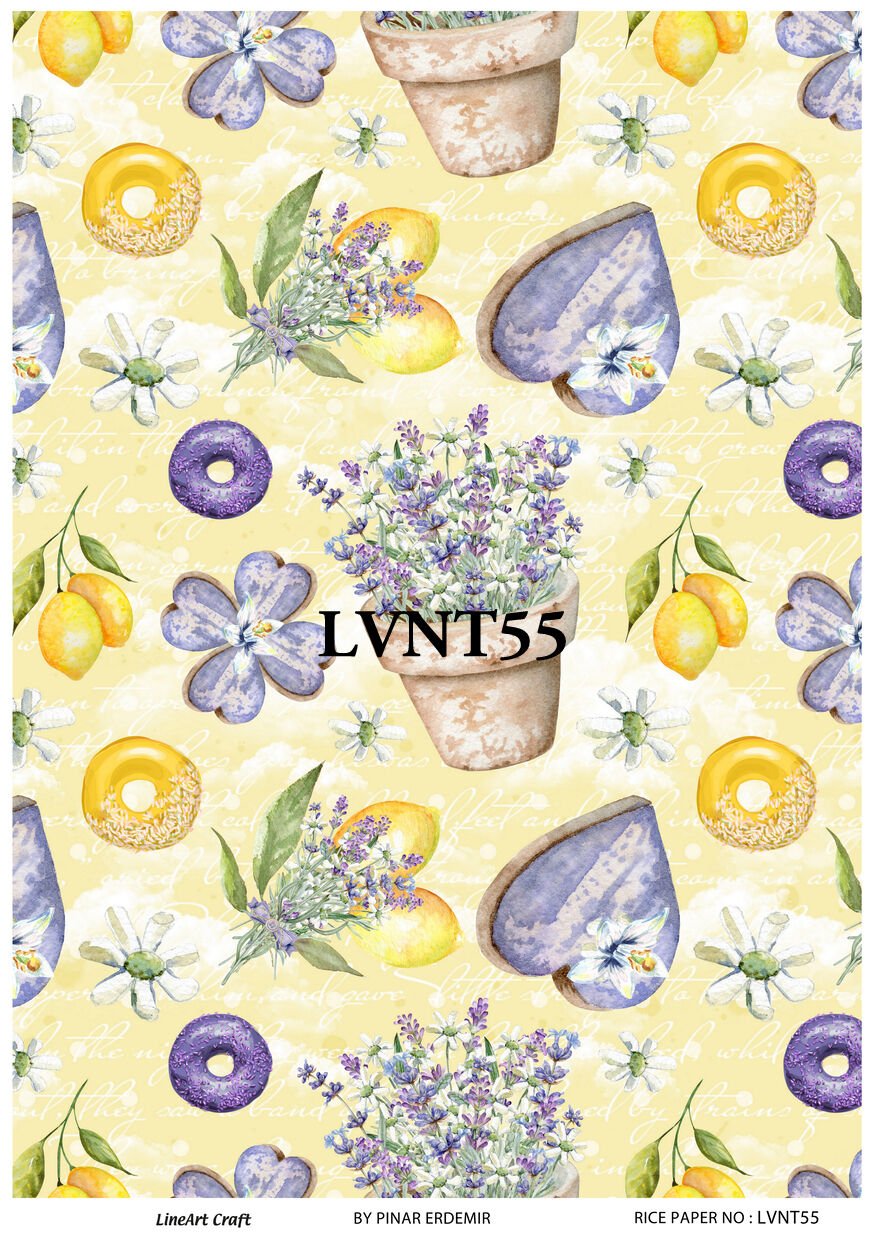 LVNT 55