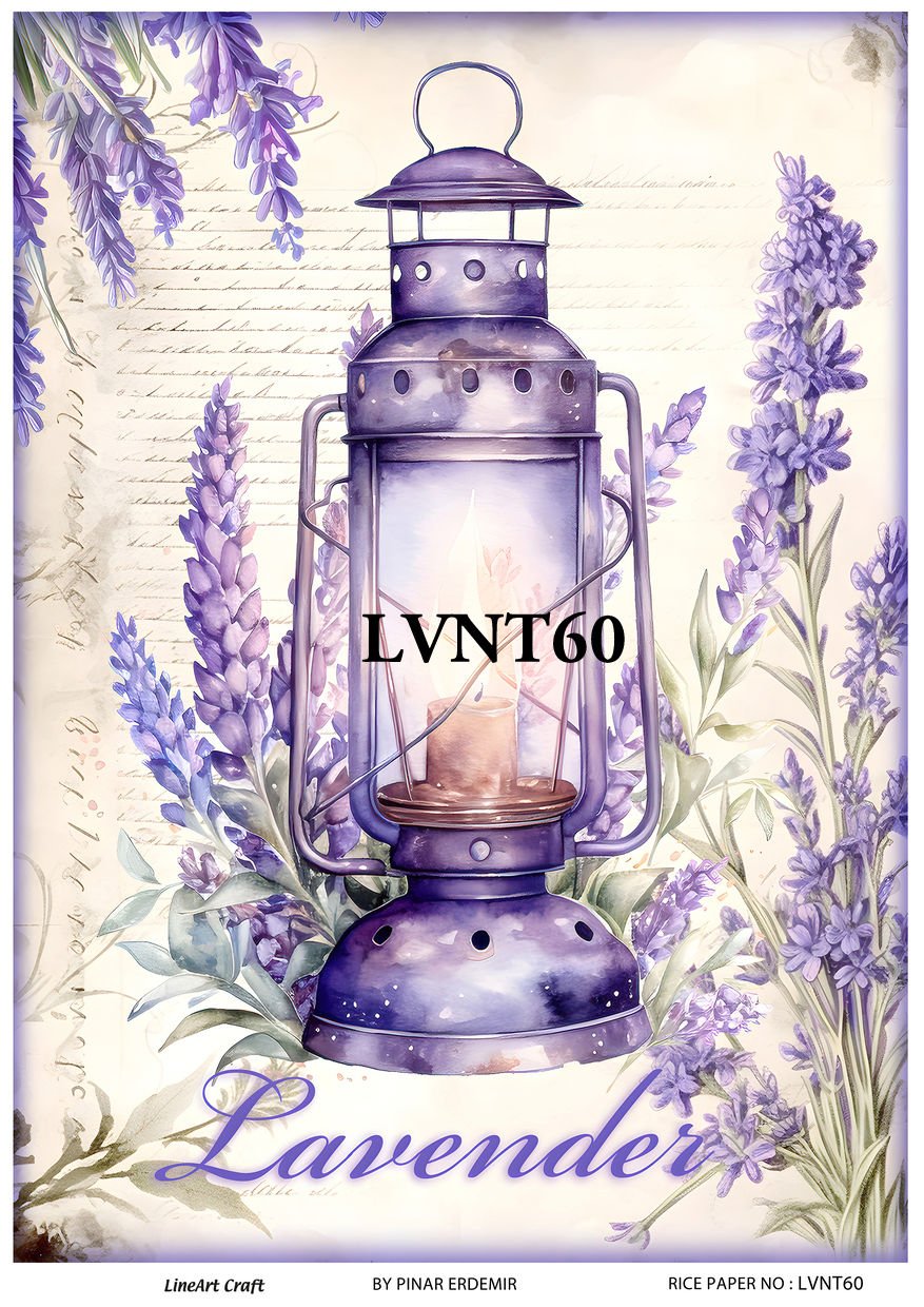 LVNT 60