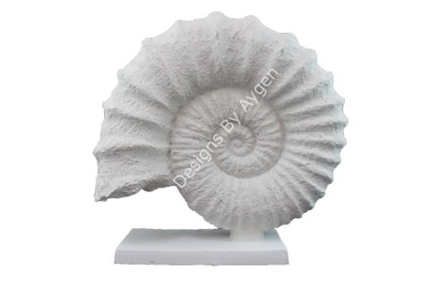 Boyanabilir Polyester Ham Objeler -KAİDELİ DENİZ KABUĞU 30X32 CM