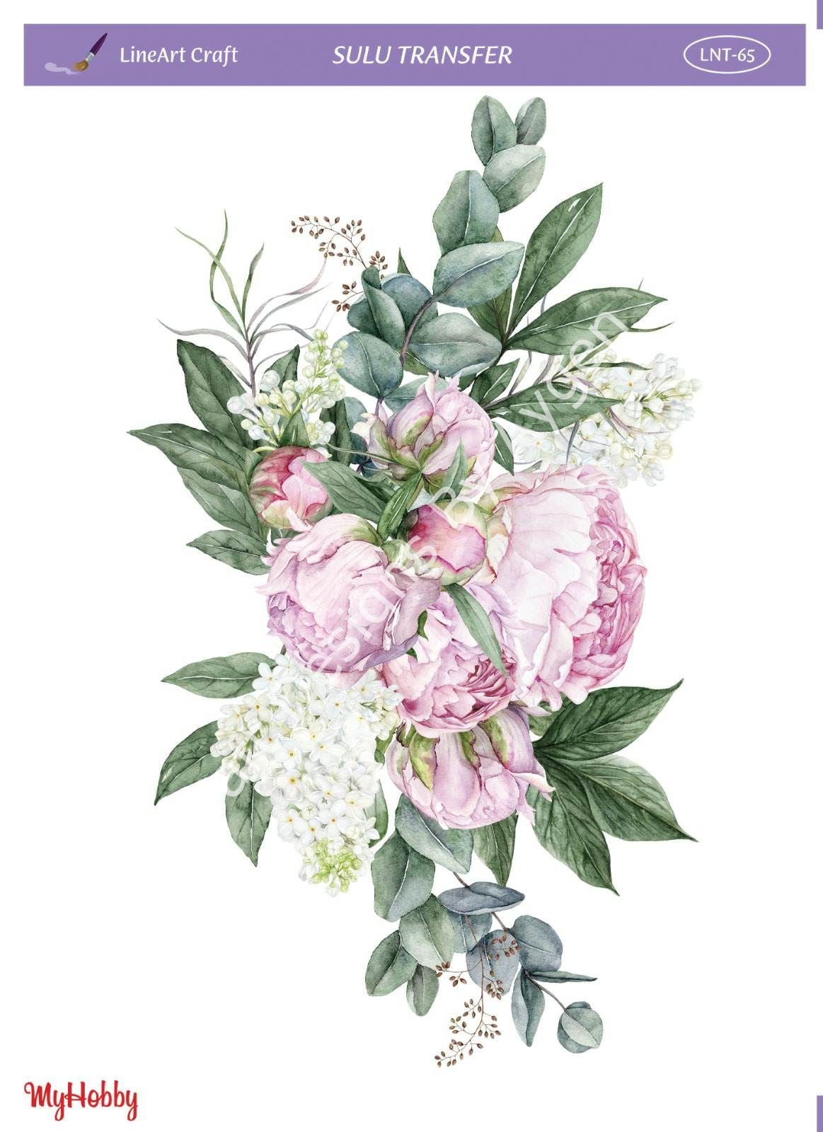 Lineart SULU TRANSFER LNT 65