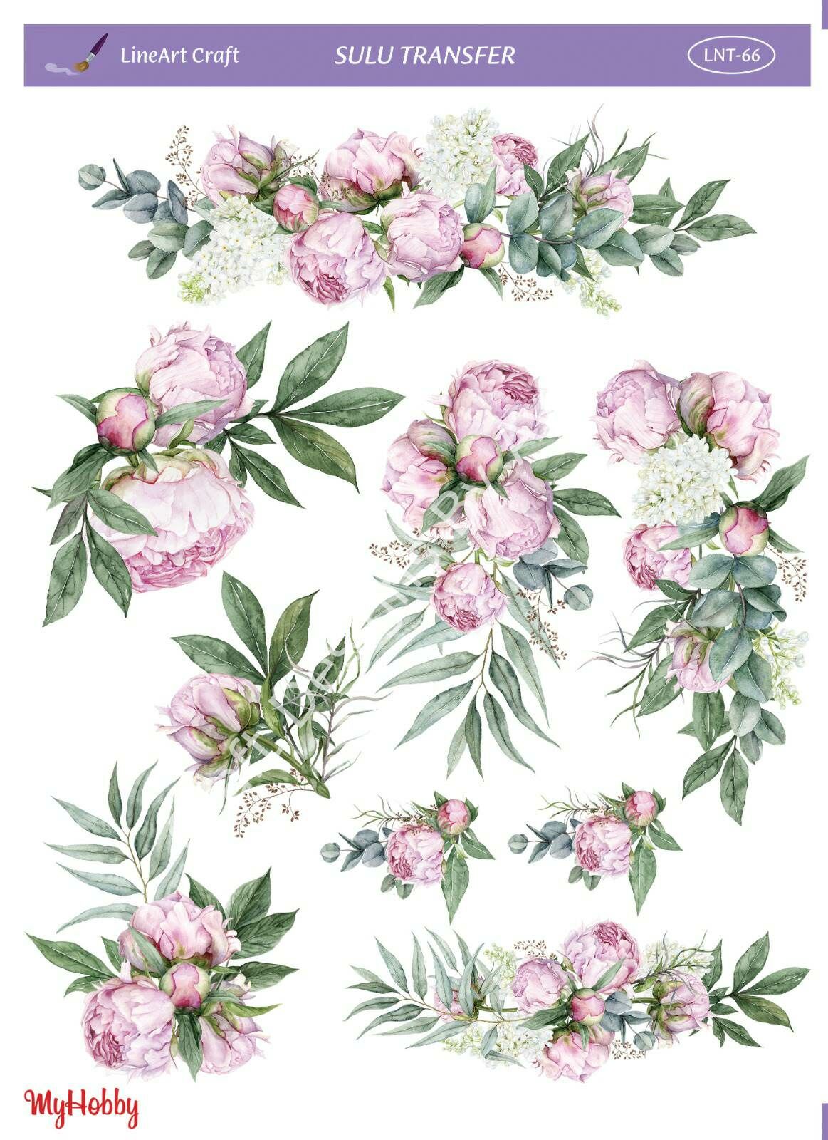 Lineart SULU TRANSFER LNT 66