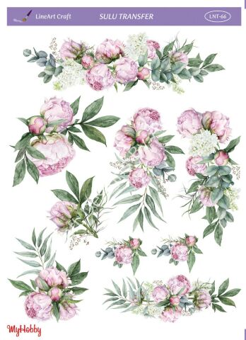 Lineart SULU TRANSFER LNT 66