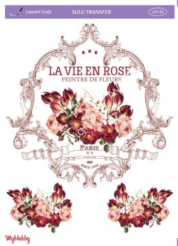 Lineart SULU TRANSFER LNT 81