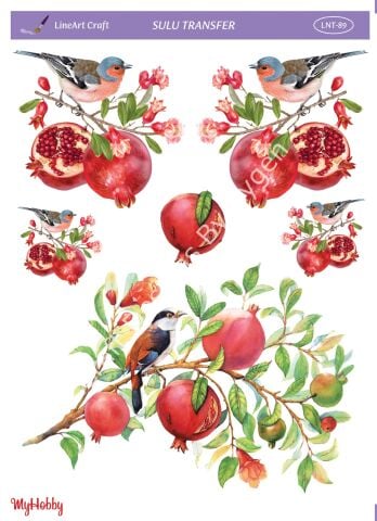 Lineart SULU TRANSFER LNT 89