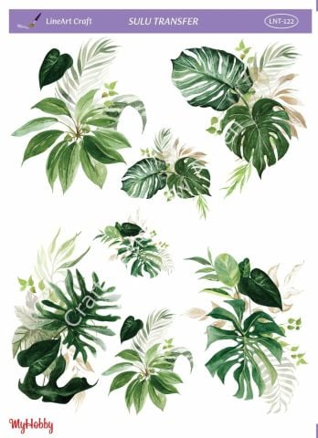Lineart SULU TRANSFER LNT122