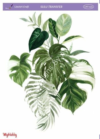 Lineart SULU TRANSFER LNT123