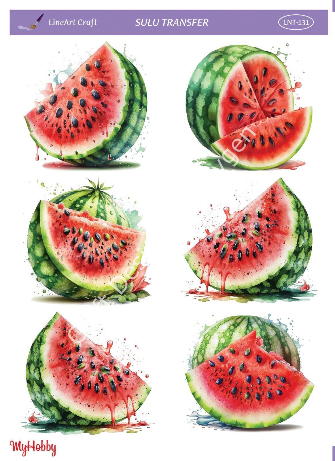 Lineart SULU TRANSFER LNT131