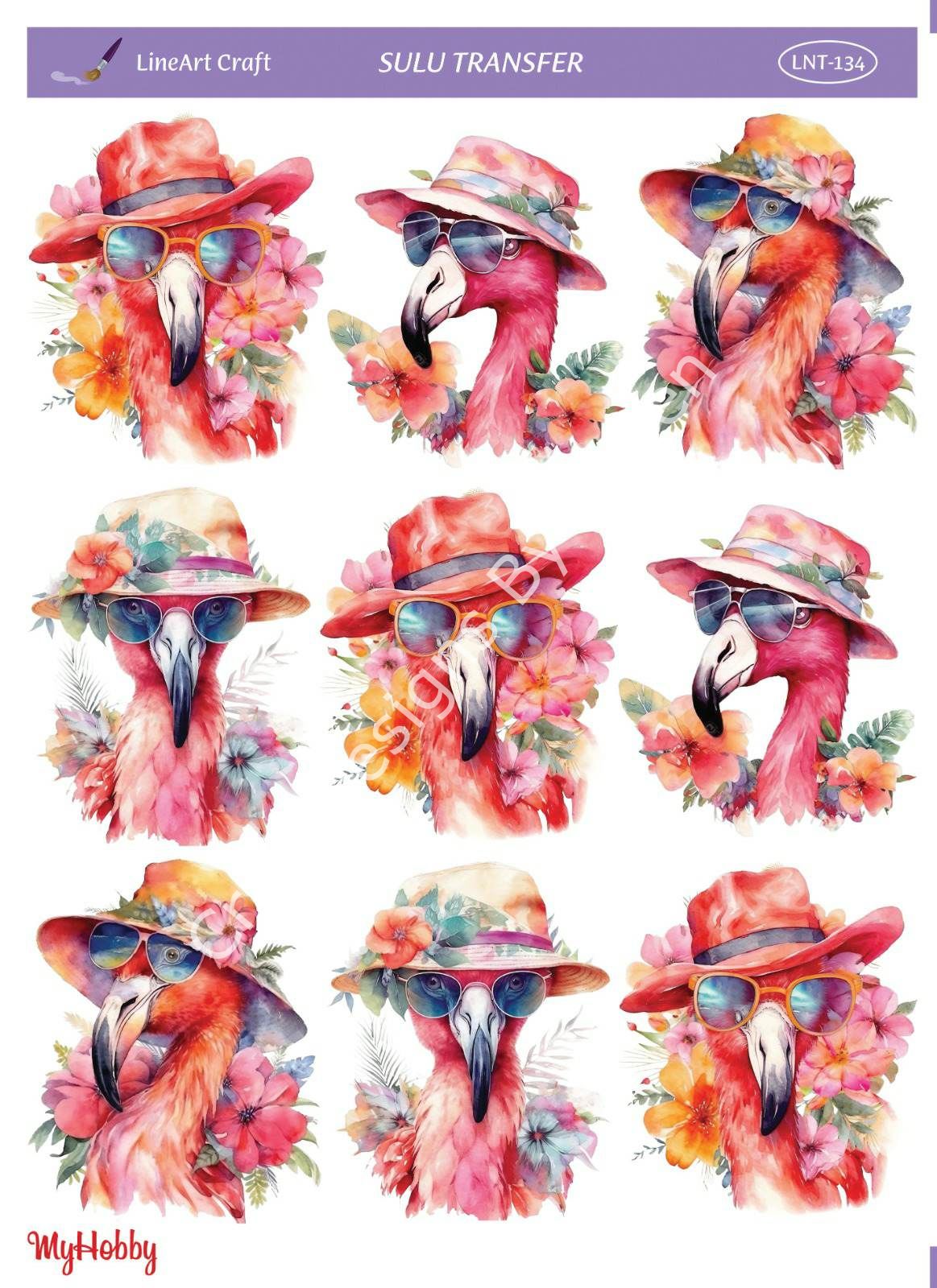 Lineart SULU TRANSFER LNT134