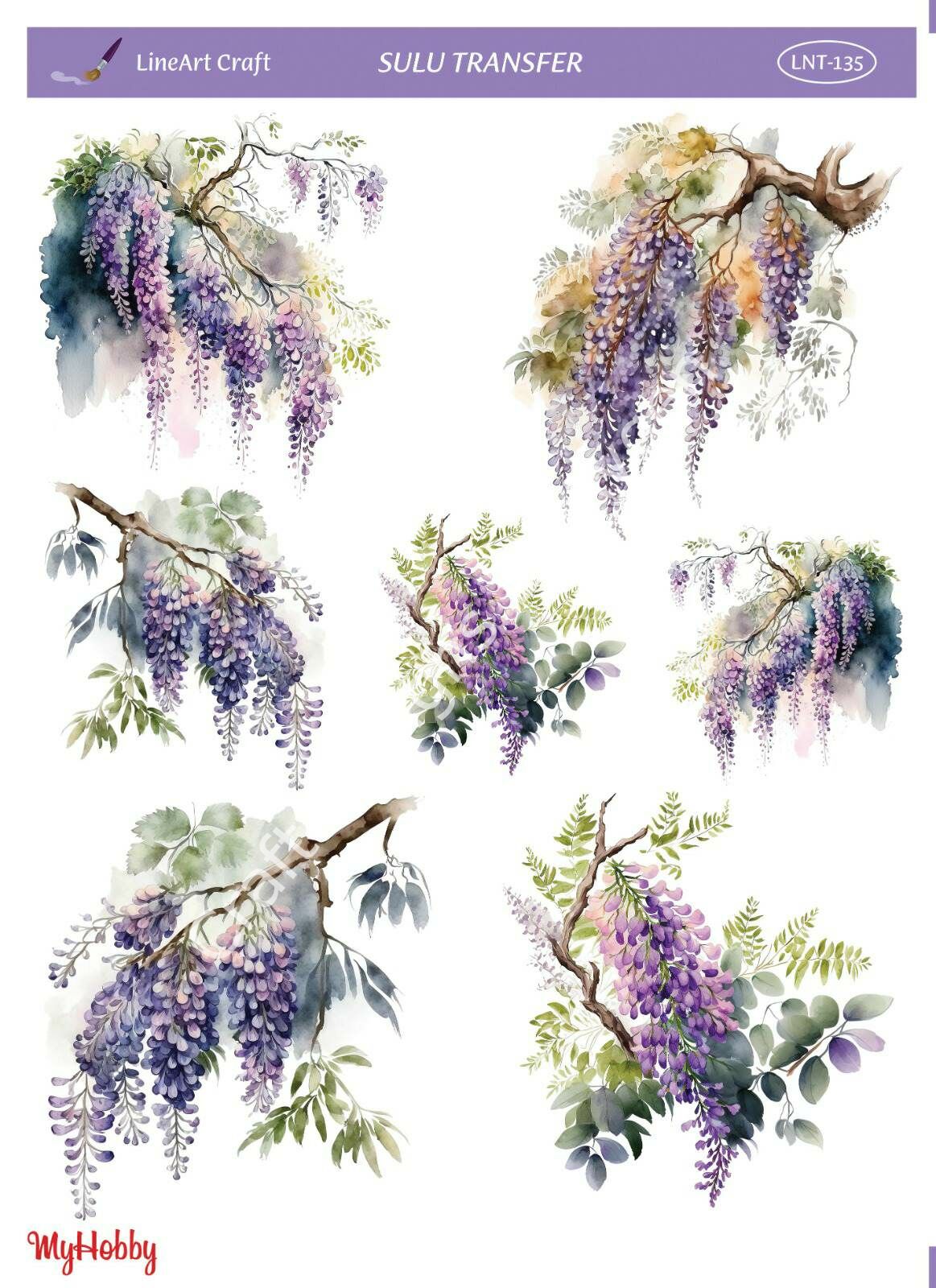 Lineart SULU TRANSFER LNT135