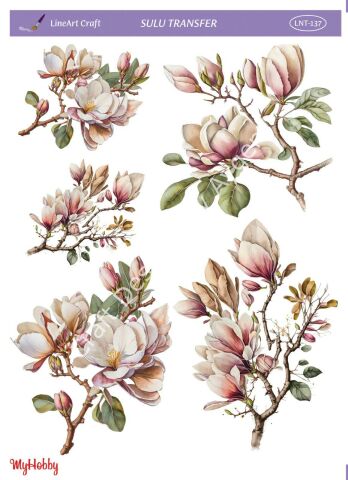Lineart SULU TRANSFER LNT137