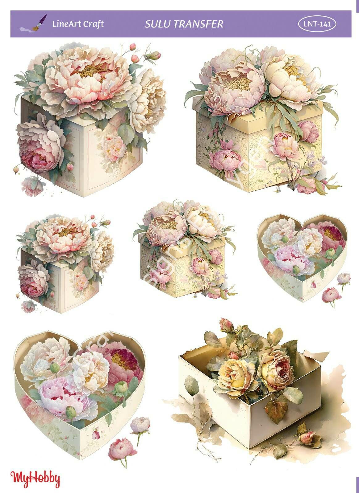 Lineart SULU TRANSFER LNT141