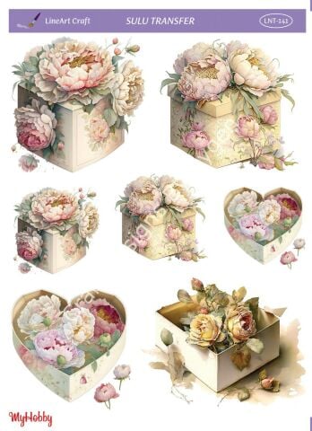 Lineart SULU TRANSFER LNT141