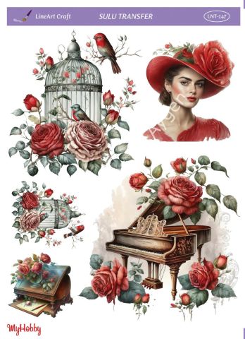 Lineart SULU TRANSFER LNT147