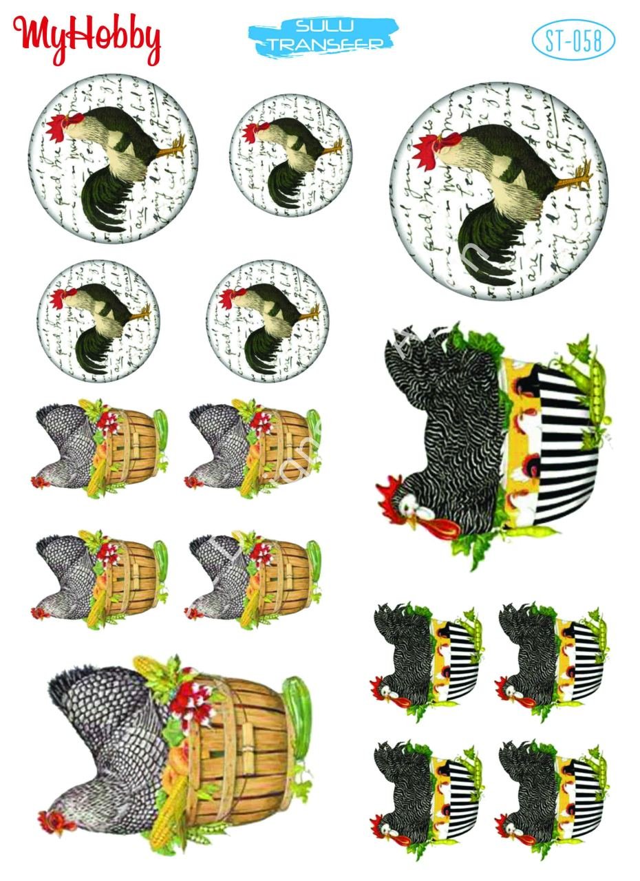 My Hobby SULU TRANSFER 058