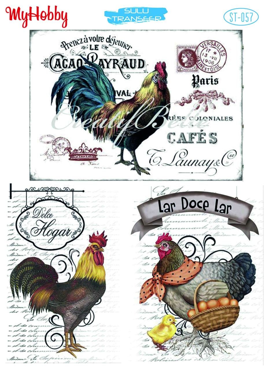 My Hobby SULU TRANSFER 057