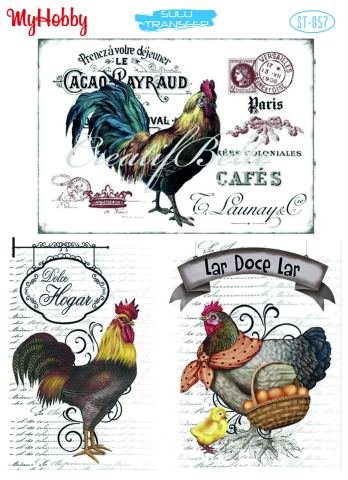 My Hobby SULU TRANSFER 057