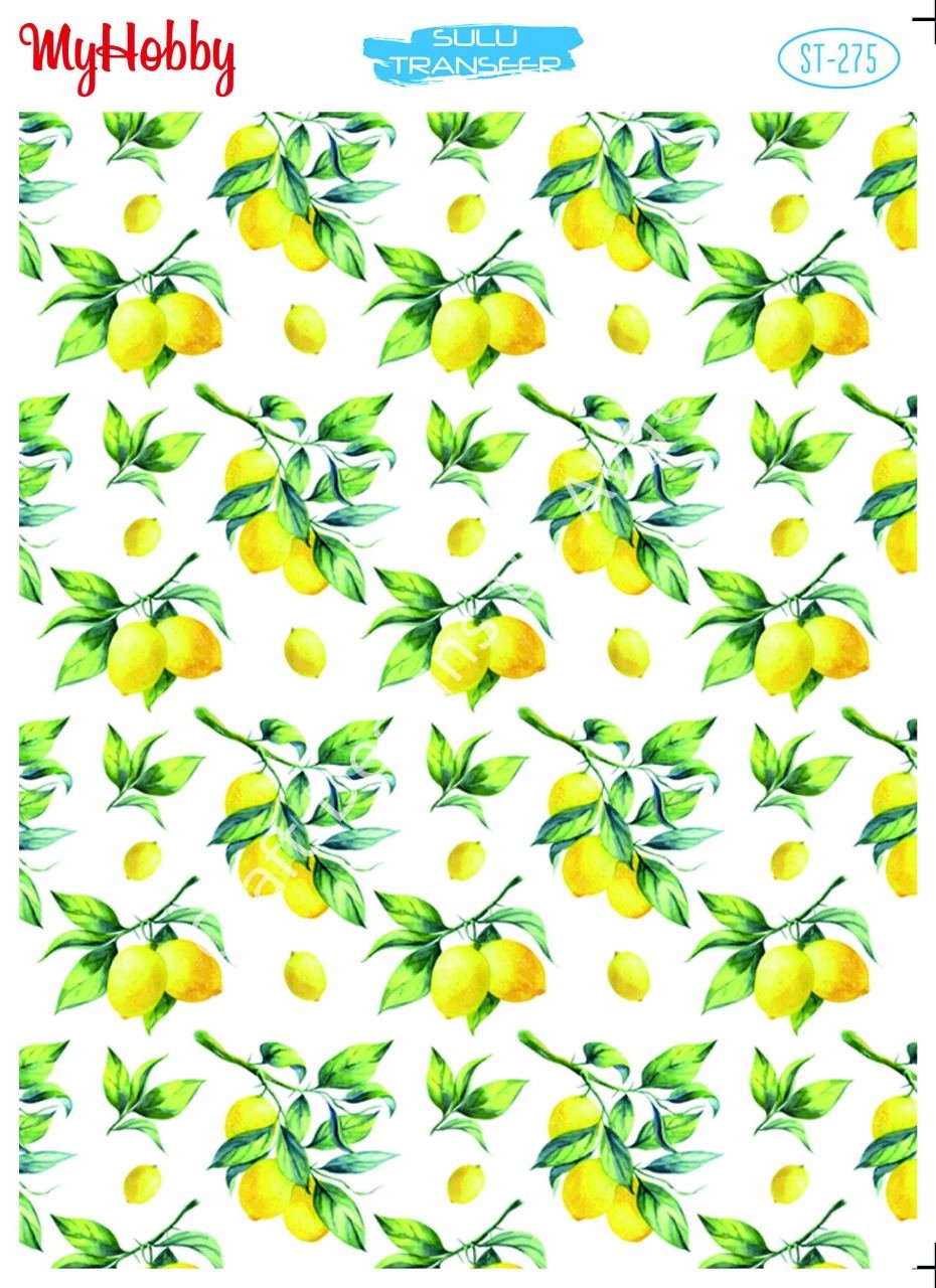 My Hobby SULU TRANSFER 275