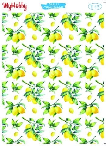 My Hobby SULU TRANSFER 275